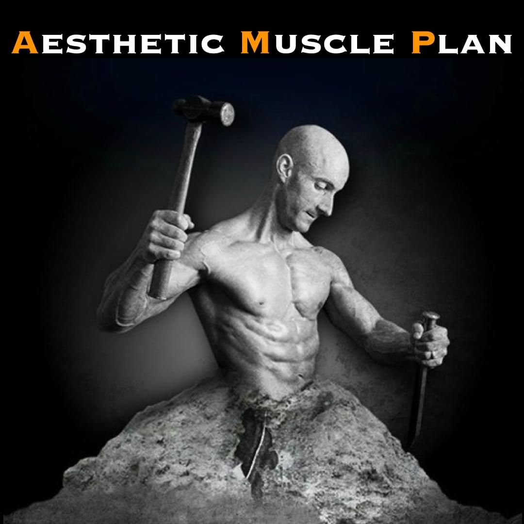 Aesthetic Muscle Plan