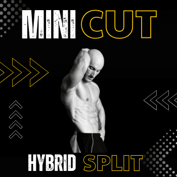 Mini Cut